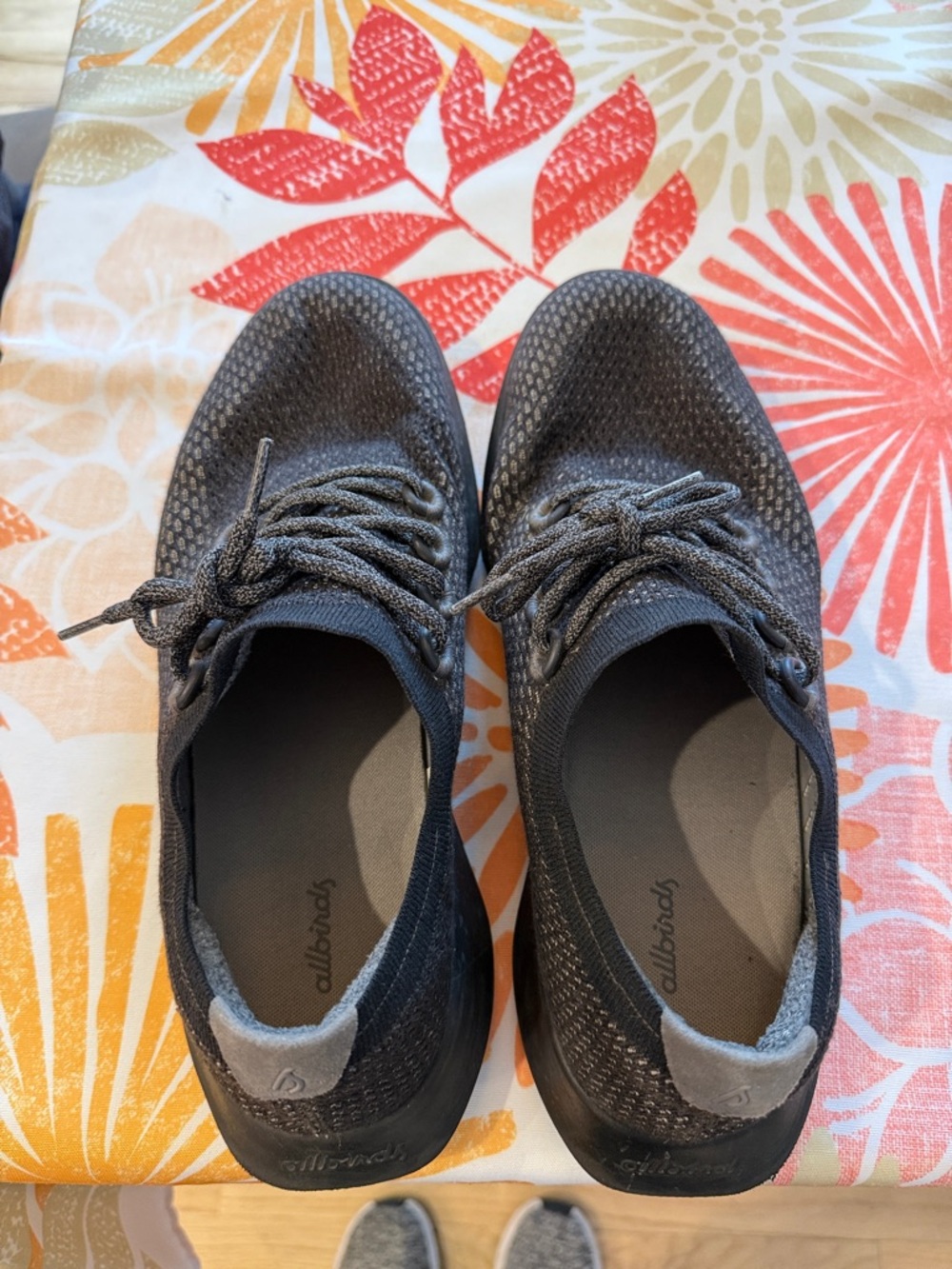 allbirds Gray Knit Lace-Up Sneakers